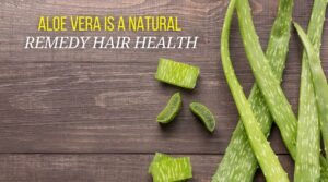 aloe vera is best for hair health